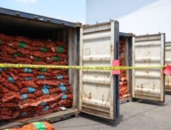 Impor Ilegal Bawang Bombai Terbongkar, Mentan Amran: Segera Tindak dan Telusuri, Tak Ada Toleransi