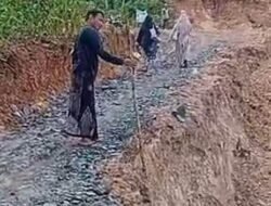 Kondisi Kritis Jalan Desa Gunung Ulin Kembali Ambrol