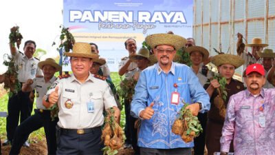 Kantor Wilayah (Kanwil) Direktorat Jenderal Pemasyarakatan (Ditjenpas) Kalimantan Selatan ambil bagian pada kegiatan Panen Raya Serentak Ketahanan Pangan Pemasyarakatan yang digagas Kementerian Imigrasi dan Pemasyarakatan melalui Ditjenpas, bertempat di Lembaga Pemasyarakatan (Lapas) Kelas IIB Banjarbaru, Kamis (15/1/2026).