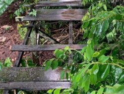 Akses Desa Rusak dan Berlubang, Anggota DPRD Kalsel Bergerak Cepat Memperbaiki