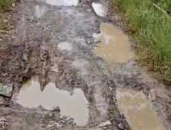 ‎Setiap Hari Warga Jatuh, Jalan Rusak Pindahan Baru–Sungai Musang Lumpuhkan Aktivitas dan Pendidikan