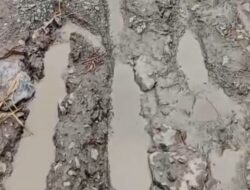 ‎Ekonomi Desa Tercekik Jalan Rusak di Aluh-Aluh, Perputaran Pasar dan Hasil Tani Terhambat