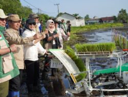 Pacu Produksi Padi, Kementan Tanam Padi Serentak di Kabupaten Tanah Laut