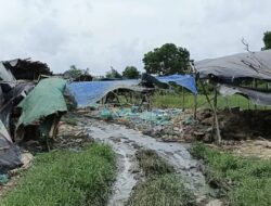 ‎Viral Bau Busuk di Lingkar Selatan, DLH Banjarmasin Turun Tangan Segel Lokasi Limbah Ayam