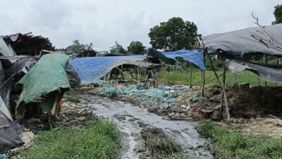 ‎Viral Bau Busuk di Lingkar Selatan, DLH Banjarmasin Turun Tangan Segel Lokasi Limbah Ayam