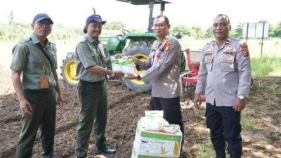 Kolaborasi Kementan dan Polres Banjarbaru Tanam Jagung 3 Hektare, Perkuat Ketahanan Pangan Nasional 
