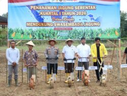 Bupati HSS dan Kapolres Tanam Jagung di Pagar Haur