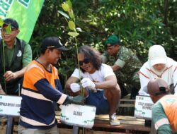 Cegah Abrasi, Kaka Slank dan Bupati Tanah Bumbu Tanam Mangrove
