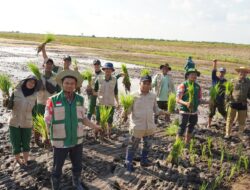 Kementan Matangkan Magang Mahasiswa dan Akselerasi Cetak Sawah Rakyat di Kabupaten Kapuas