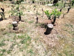 Banyak Tokoh Kalimantan Selatan Zuriyat Sultan Banjar