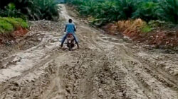 Jalan Gunung Ulin Hingga Gunung Balai Kembali Hancur, Warga; Kemana Lagi Mengadu?