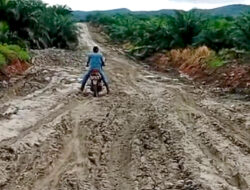 Jalan Gunung Ulin Hingga Gunung Balai Kembali Hancur, Warga: Kemana Lagi Mengadu?