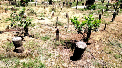 Makam para zuriat Pangeran Singasari.