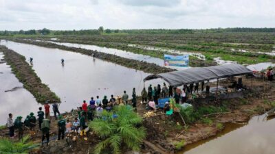 Kementan Perkuat Swasembada Pangan, Tanam Serentak di Lahan CSR Kapuas