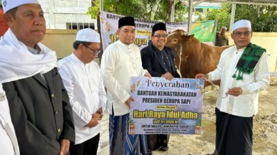 Pemkab Kotabaru Salurkan Bantuan Sapi Kurban Presiden, Ribuan Kupon Dibagikan