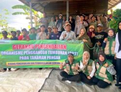 Jaga Stabilitas Pangan Distan Kabupaten Banjar Dan Petani Kompak Basmi Hama Tikus
