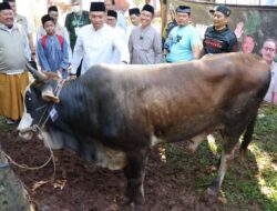 Wamentan Sudaryono: Ketersediaan Hewan Kurban Nasional Surplus, Pasokan Aman