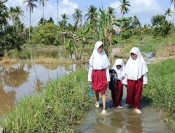 Tiga Tahun Terendam Pasang, Akses ke SDN Basirih 10 Belum Tersentuh Perbaikan