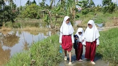 Tiga Tahun Terendam Pasang, Akses ke SDN Basirih 10 Belum Tersentuh Perbaikan