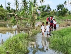 Jalan Menuju SDN Basirih 10 Rusak dan Terendam, Murid Terpaksa Sekolah Tanpa Sepatu
