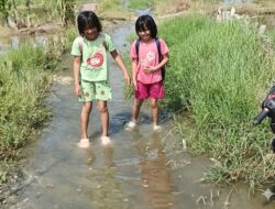 Demi Menuntut Ilmu, Murid SD di Mantuil Rela Jatuh dan Basah Kuyup di Jalan Rusak