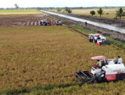 Mentan Amran Jawab Isu “Pesta Babi” di Merauke: Yang Kami Bangun Adalah Pesta Pangan
