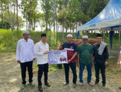 Sapi Kurban Bantuan Presiden RI Diserahkan Bupati Andi Rudi Latif untuk Masyarakat di Hari Raya Idul Adha