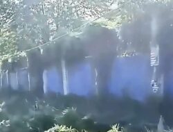 Dinding Gedung Instalasi Farmasi Dinkes Banjarmasin Dipenuhi Rumput Liar dan Pohon, Warga Sebut Sudah Hampir Setahun Terbengkalai