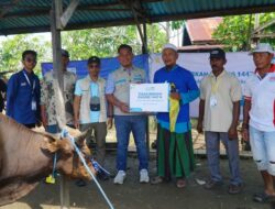 24 Tahun Menanti, Warga Tinggiran Baru Kembali Rasakan Kebersamaan Iduladha melalui Tebar Berkah Daging YBM PLN