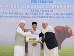 ‎Gubernur Kalsel Serahkan Sapi Kurban Bantuan Kemasyarakatan Presiden Prabowo Subianto