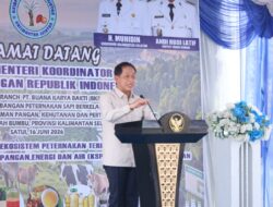 Wamenko Pangan RI Tinjau KSPEAN di Tanah Bumbu, Pemkab Dukung Integrasi Sapi-Sawit