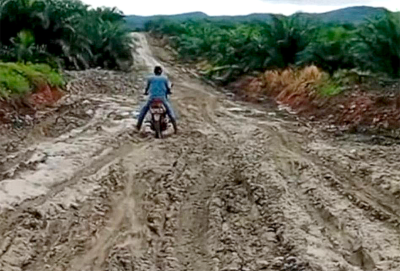 Salah satu bukti kerusakan jalan akibat dilintasi armada angkutan batubara di Jalan Desa Gunung Ulin Kecamatan Mataraman, Kabupaten Banjar. 