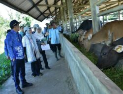 Bupati HSS Tinjau BPPT Hariti dan Dorong Pembenahan