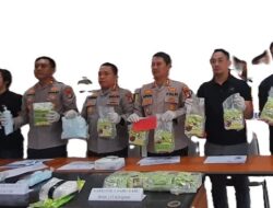 Jaringan Pengedar Narkoba Banjarmasin – Batola Diungkap, 10.000 Butir Ekstasi dan 13 Kilogram Sabu Disita