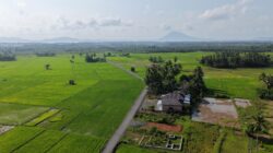 Bang Arul Dorong Produktivitas Petani dan Petambak Lewat Pengaspalan Jalan Perdesaan