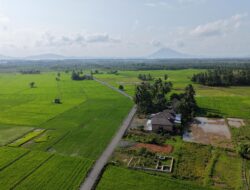 Bang Arul Dorong Produktivitas Petani dan Petambak Lewat Pengaspalan Jalan Perdesaan