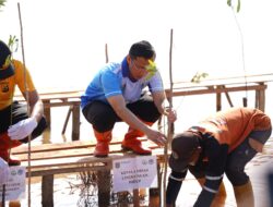 Pemkab Tanah Bumbu Tanam Mangrove untuk Generasi Mendatang