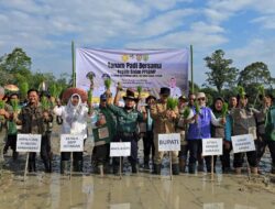 Kementan Akselerasi Tanam Padi di Lahan Oplah dan CSR Barito Timur