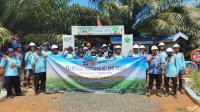Sinergi BPDP dan BBPP Binuang Berlanjut, 29 Peserta Pelatihan Sawit Perdalam Praktik Budi Daya di PTPN IV Regional V 