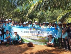 28 Peserta Pelatihan Sawit Angkatan 2 Perdalam Praktik Budidaya melalui Kunjungan Lapangan