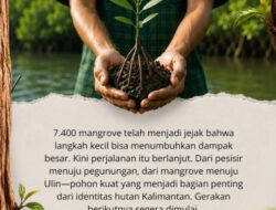 Bank Kalsel Ubah Jarak Lari Menjadi 760 Bibit Ulin, Gerakan Reforestasi Meratus untuk HUT ke-76 Kalsel