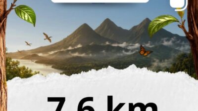 Dari Keringat Jadi Ulin, Lari Warga Kalsel 7.600 Km Ditargetkan Menghijaukan Meratus