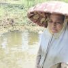 ‎Tak Hanya Sungai, Sumur Warga Basirih Dalam Ikut Asin, 30 Rumah Kesulitan Air Bersih