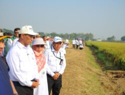 Mentan Amran: PMAAS Gandakan Hasil Panen, Pendapatan Petani Ikut Naik