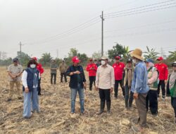 Wamenko Pangan Pantau Pencegahan Karhutla di Kabupaten Banjar, Petani Masih Hadapi Ancaman Gagal Panen