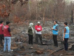 Peduli Berkelanjutan, PLN Perkuat Sarana Mitigasi Karhutla di Kalteng